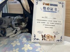 -达爱动物医院·犬猫分区·CT·复杂眼科(远洋山水分院)