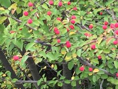 -大四喜火锅(东风路店)