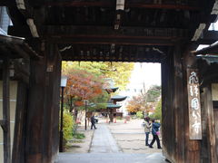 -医王山·飞騨国分寺