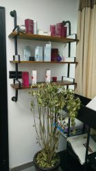 -FC·fashion creativity