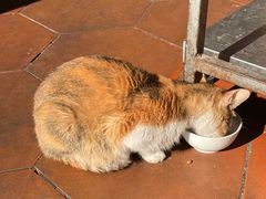 -非遗·爱西干面(小公园总店)