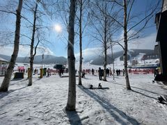 -中旅松花湖滑雪场