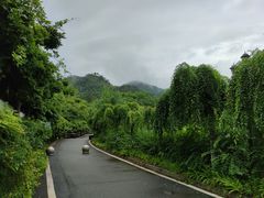-黄陂区野村谷景区