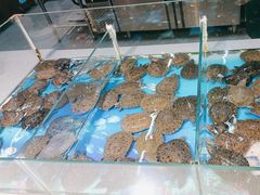 -小肥牛自助火锅海鲜烤肉(睢宁万达店)