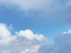 -栾川竹海野生动物园