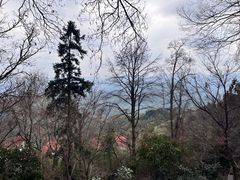 -莫干山风景区