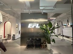 -EFL巴西柔术·综合格斗·泰拳·少儿体能训练(虹桥德必馆)