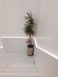 -LJOY丽锦造型·烫发染发
