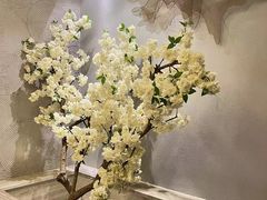 -云中漫步·足疗养生会馆(金开店)