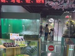-上海大自然野生昆虫馆(东方明珠·爬宠昆虫探索中心)