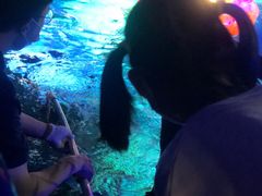 -沈阳海洋探索中心