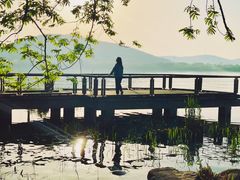 -长广溪湿地公园