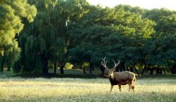 -萌宠亲子动物乐园(槐房万达店)