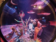 -沈阳海洋探索中心