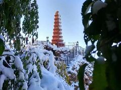 -红山公园