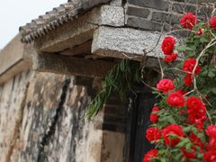 -威海大乳山景区