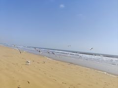 -日照海滨国家森林公园