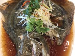 -洪湖家庭农场·团建·露营·会议