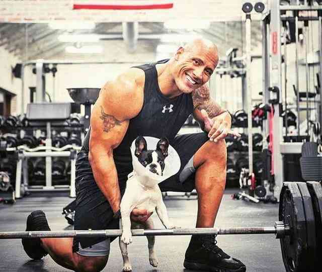 doctype html> html lang="zh-cn"> head> meta