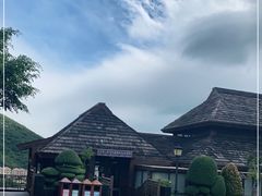 -三亚亚龙湾人间天堂鸟巢度假村