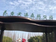 -黄海国家森林公园