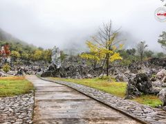 -千岛湖石林