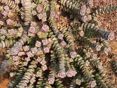 -南通洲际绿博园