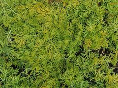 -终南山南五台景区