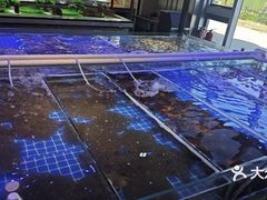-四海蒸鲜蒸汽海鲜自助(北戴河店)