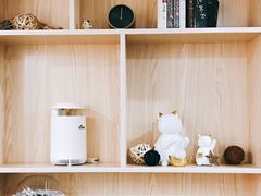 -大四喜沙拉(四条巷店)