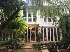 -Fern Forest Cafe
