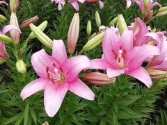 -长春公园(普阳街道)