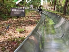 -东湖生态旅游风景区