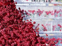 -万达广场(龙湖店)