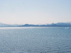 -深圳湾公园(南山区)
