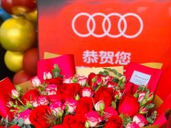 -四川华星名仕奥迪4S店(羊西店)