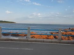 -青岛海滨风景区