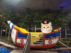 -南宫五洲植物乐园