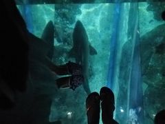 -暹罗海洋世界