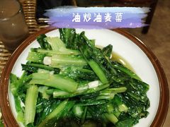 油麦菜-广信传说