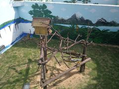 -西霞口神雕山野生动物世界