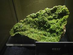 -中华赏石园