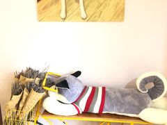 -Husky Go! 哈士奇体验馆·宠物咖啡厅狗咖