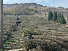 -东白山