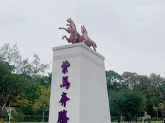 -紫马岭公园