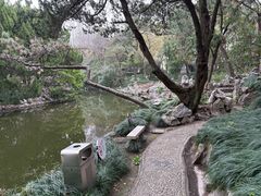 -叶家花园
