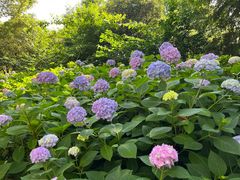 -常州古运河南大街文化旅游区-人民公园