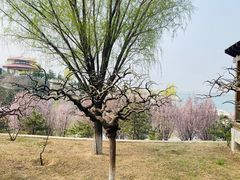 -青龙湖公园