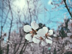 -酷鱼垂钓CLUB(朝阳区博大路店 )