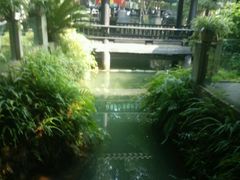 -王家渡火锅(三苏祠店)